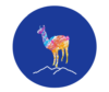 Alpaca Travel.sk