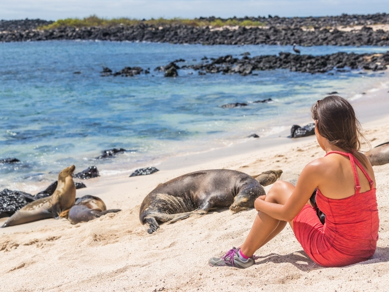 Galapagos Playa