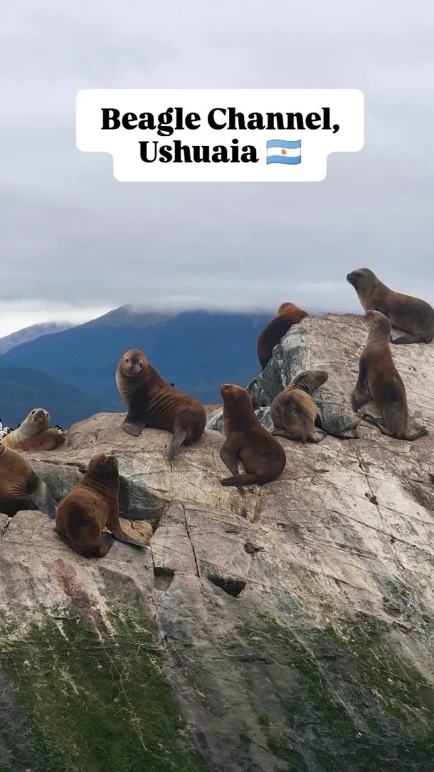 Výletik loďou po Beagle kanáli na samom konci sveta v Ushuaia 🇦🇷 🦭

Počas plavby sme mali obrovské šťastie a videli sme nielen kormorány a roztomilé uškatce, ale dokonca aj  húf veľrýb Sei