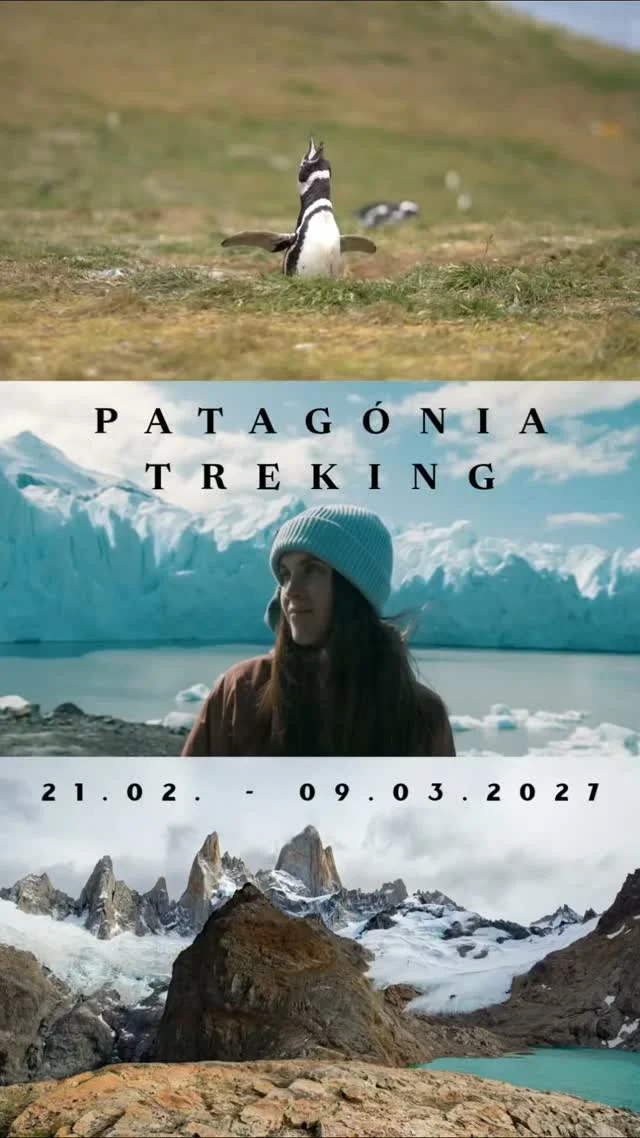 PATAGÓNIA TREKING, Chile a Argentína 21. 02. – 09. 03. 2027

- 17 dní nabitých zážitkami + 2 dni let
- Maximálne 12 osôb 

Lákajú ťa miesta, kde vládne surová, divoká a jedinečná príroda, no nechceš stráviť mesiace plánovaním zložitej logistiky na konci sveta? Všetko sme vybavili za teba.

Žijeme priamo v Chile a túto časť sveta máme dobre prechodenú.

Hlavné body programu:

2 metropoly Južnej Ameriky: Živé Santiago de Chile na úpätí Ánd a elegantné Buenos Aires s neopakovateľnou atmosférou tanga.

Tučniaky magellanské v Punta Arenas: Pozorovanie voľne žijúcich tučniakov v ich prirodzenom prostredí v Magalhãesovom prielive.

4-dňový W Trek v Torres del Paine: Legendárny treking cez údolie Francés, k ľadovcu Grey a ikonickým žulovým vežiam Torres

2 dni trekov pod Fitz Roy a Cerro Torre: Túry z hlavného mesta argentínskeho trekingu El Chaltén k lagúnam pod najkrajšími štítmi Ánd.

Návšteva ľadovca Perito Moreno: Prechádzky s pohľadom na obrovskú ľadovú stenu, z ktorej sa s hromovým hlukom odpájajú kusy ľadu.

Ushuaia a Ohňová zem: Návšteva najjužnejšieho mesta sveta na samom konci kontinentu a plavba po kanáli Beagle.

Prečo neotáľať s prihlásením?

⚠️ KAPACITY SÚ OBMEDZENÉ!

Február a marec znamenajú hlavnú letnú sezónu v Patagónii. Vstupy do Národného parku Torres del Paine a ubytovania na W Treku podliehajú prísnym kvótam a vypredávajú sa mesiace dopredu. Ak chceš mať istotu miesta, musíme rezervácie uzavrieť čo najskôr.

Prečo ísť práve s Alpaca Travel?

Žijeme priamo v Chile: Žiadne katalógové zájazdy cez sprostredkovateľov. 

Slovenský sprievodca: Celým zájazdom vás sprevádzame v slovenčine s osobným a priateľským prístupom.

Kompletná logistika bez starostí: Prechody hraníc Čile–Argentína, prelety, vstupy do parkov aj ubytovania – všetko máte vybavené bez stresu.

Skupinová zľava:

Chystáte sa ako partia? Pri prihlásení 3 a viacerých účastníkov naraz získate špeciálnu skupinovú zľavu!

📍 Detailný program nájdete na www.alpacatravel.sk
📩 info@alpacatravel.sk ☎️WhatsApp + 421 951 480 143
