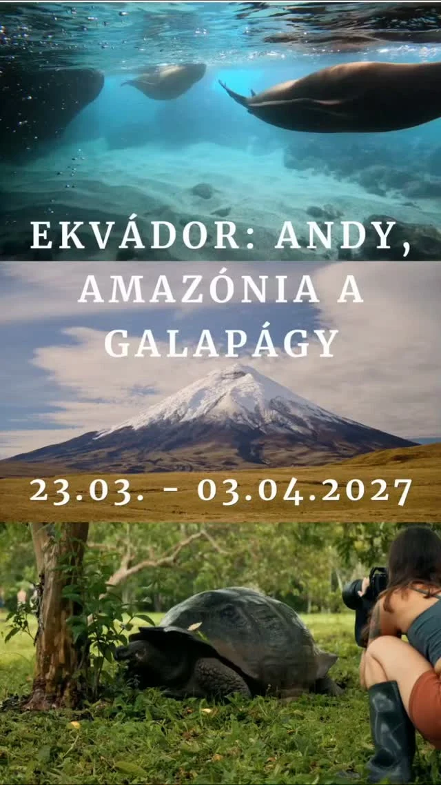 Čo takto stráviť Veľkú noc v Ekvádore a na Galapágoch? 🐢🇪🇨

Vydajte sa s nami na nezabudnuteľný zájazd do krajiny ležiacej priamo na rovníku, kde sa na malej ploche stretávajú tri úplne odlišné svety – majestátne Andy, amazonský dažďový prales a unikátny svet sopečných ostrovov Galápagy s neopísateľnou biodiverzitou.

Čo všetko spolu zažijeme?

Andy a sopečná krajina: Historické Quito, sopečné jazero Quilotoa aj scenérie pod sopkou Cotopaxi.

Nespútaná Amazónia: Pobyt v ecolodge v srdci pralesa, plavby na kanoe a spoznávanie domorodých komunít.

Galapágy (5 dní na záver!): Šnorchlovanie s uškátmi, morskými korytnačkami a pozorovanie obrovských korytnačiek či morských leguánov na ostrovoch Santa Cruz a Isabela.

Prečo ísť s Alpaca Travel?

Žijeme v Južnej Amerike: Sme čilsko-slovenská cestovka, región dôverne poznáme.

Slovenský sprievodca: Celým zájazdom vás sprevádzame v slovenčine.

Všetko bez starostí: V cene zájazdu máte už započítaný aj poplatok za vstup do NP Galapágy a tranzitnú kartu ($220).

🗓 Termín: 21. 03. – 03. 04. 2027 (14 dní / 13 nocí + 2 dni cesta)

📍 Detailný itinerár a rezervácie: www.alpacatravel.sk/ekvador-a-galapagy/

✉️ Otázky a prihlásenie na info@alpacatravel.sk a WhatsApp +421 951 480 143

#alpacatravelsk
#zajazdsnov
#tonajzjuznejameriky